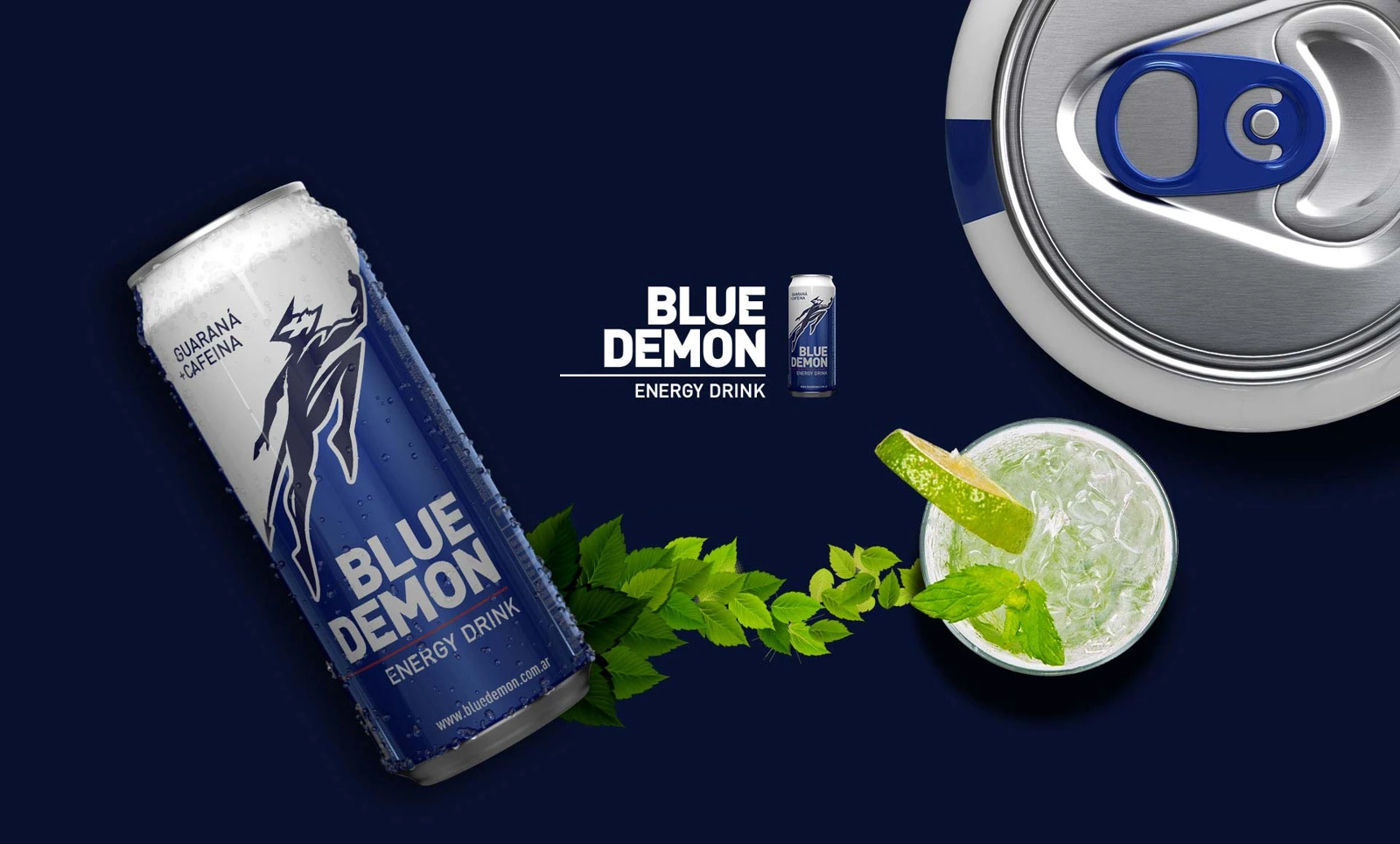 Blue Demon — proyecto realizado