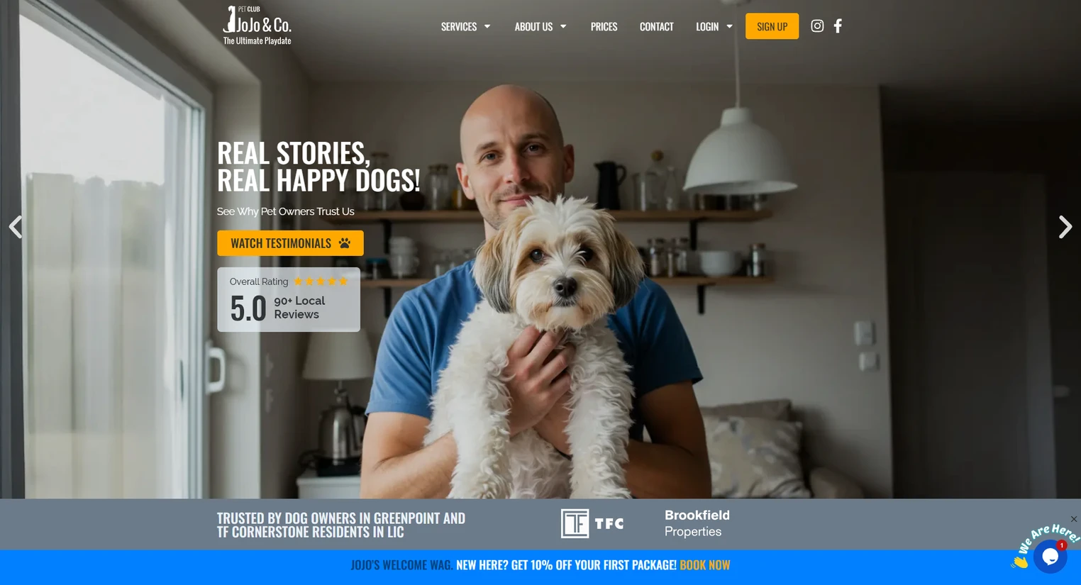 JoJo Pet Club — Diseño web