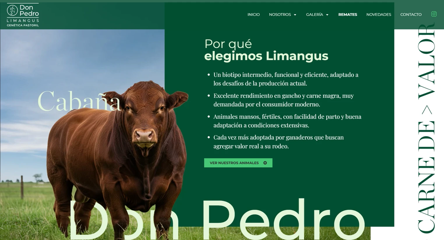 Don Pedro Limangus — Web · Comunicación para remates