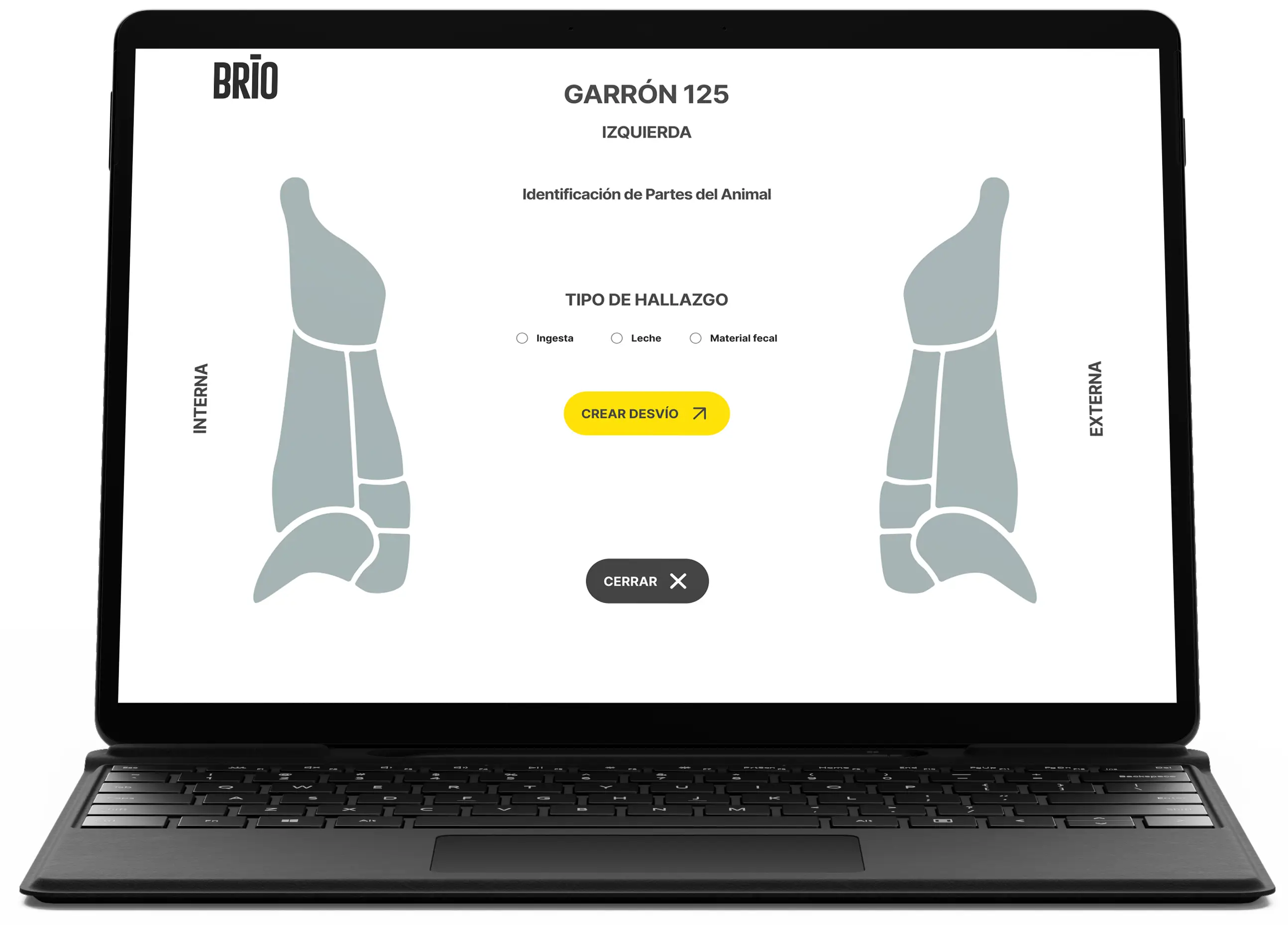 BRIO — interfaz de aplicación diseñada en Figma