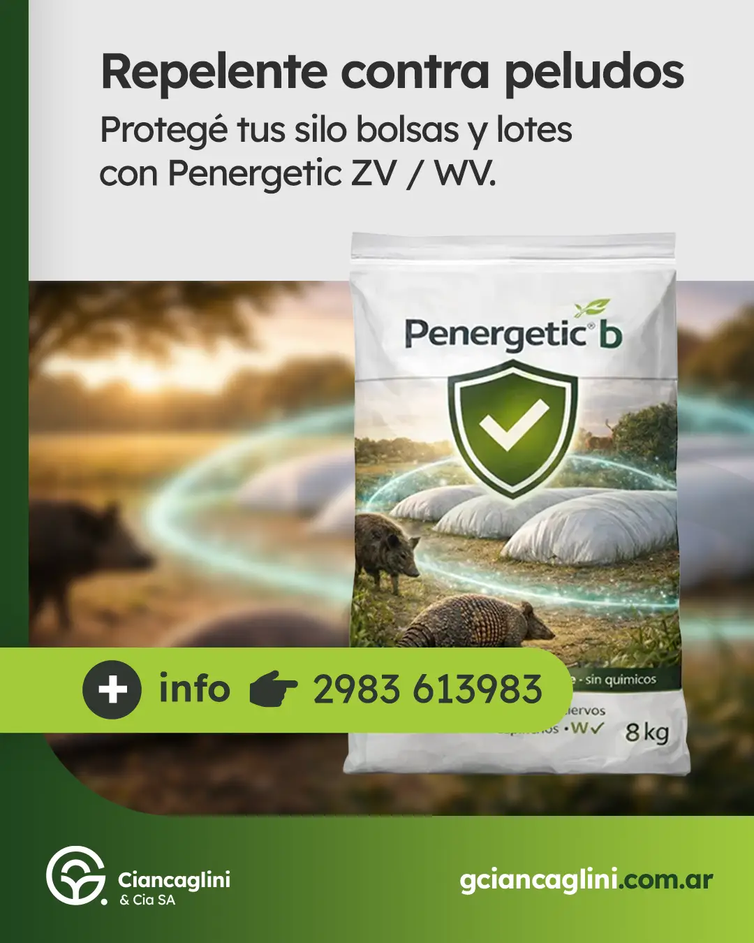 G. Ciancaglini — Redes 01