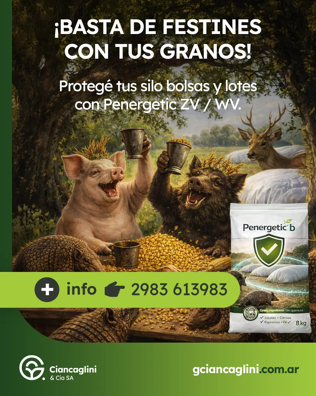G. Ciancaglini — Redes 03