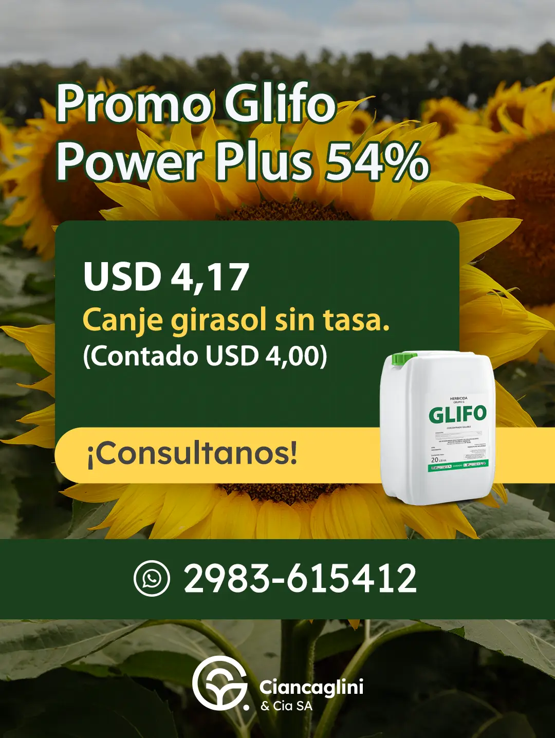 G. Ciancaglini — Redes 06